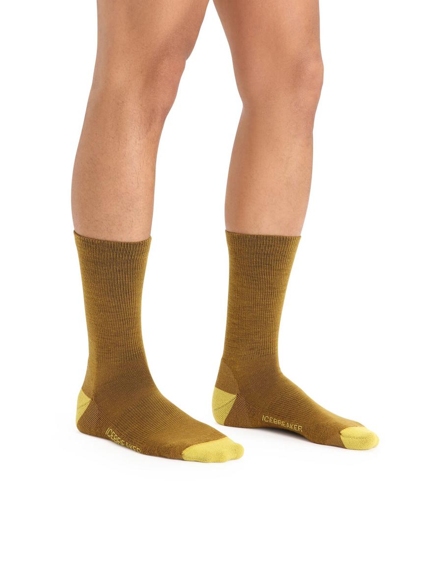 Men's Icebreaker Merino Lifestyle Light Crew Socks Clove / Silent Gold | CA 1900NWYB